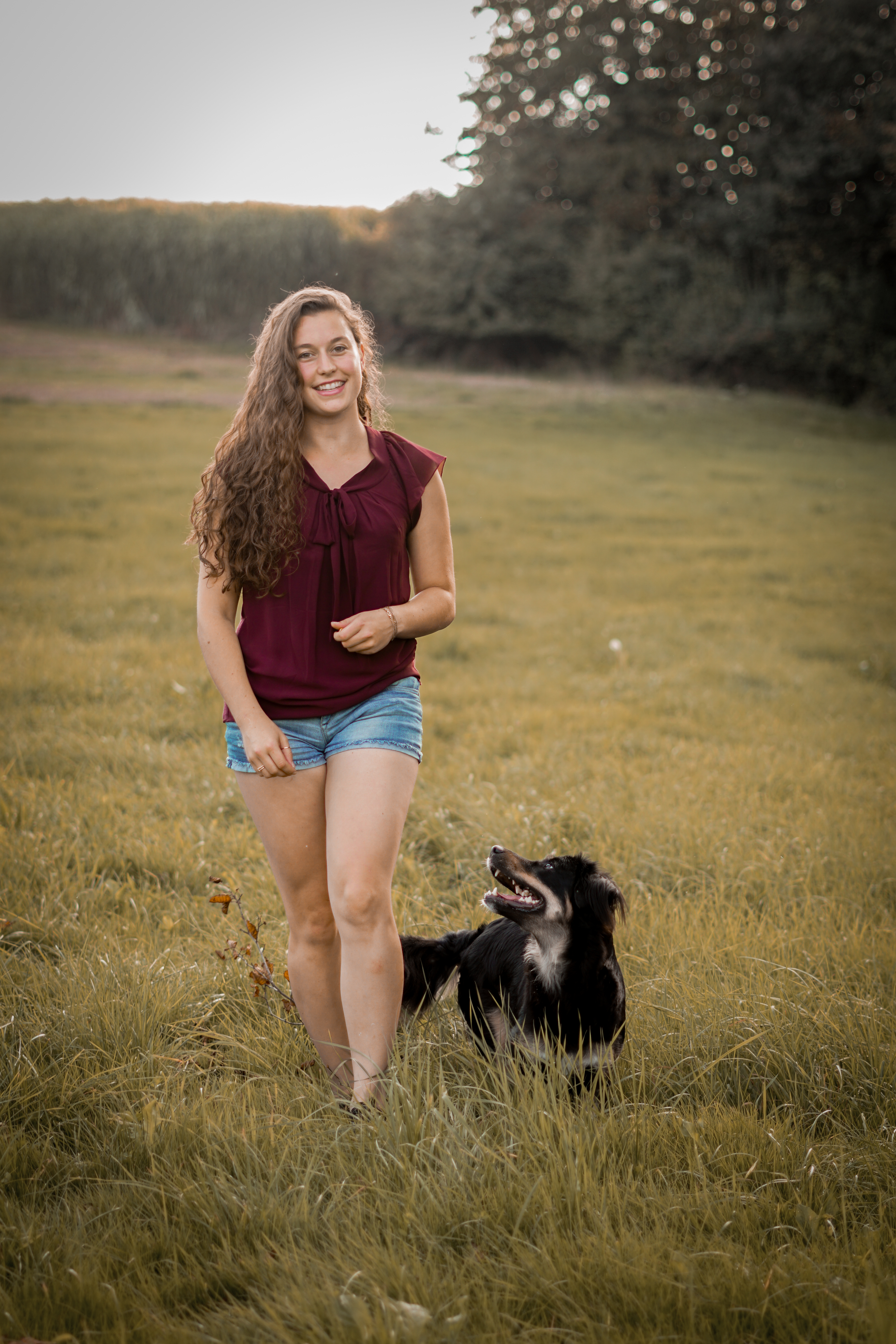 Dogether - Individuelles Hundetraining