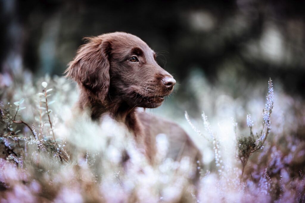 Zusammen Finden, Zusammen Starten, Zusammen Bleiben