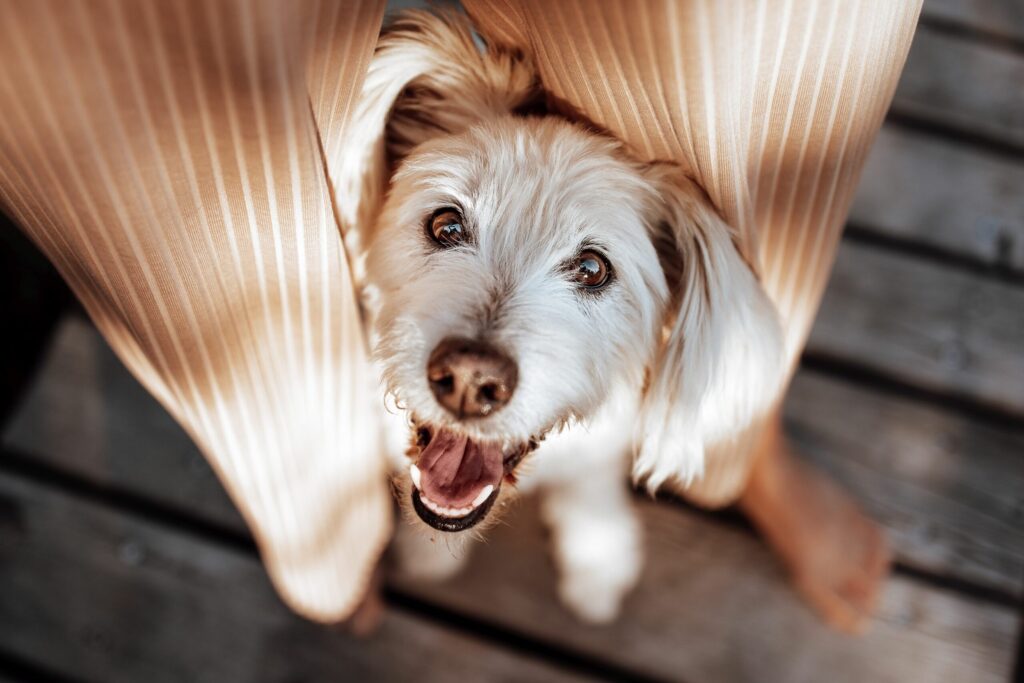 Zusammen Kennenlernen