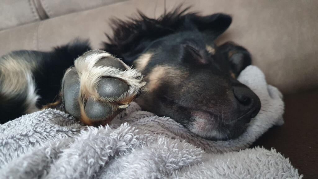 Ruhe trotz Weihnachtsstress