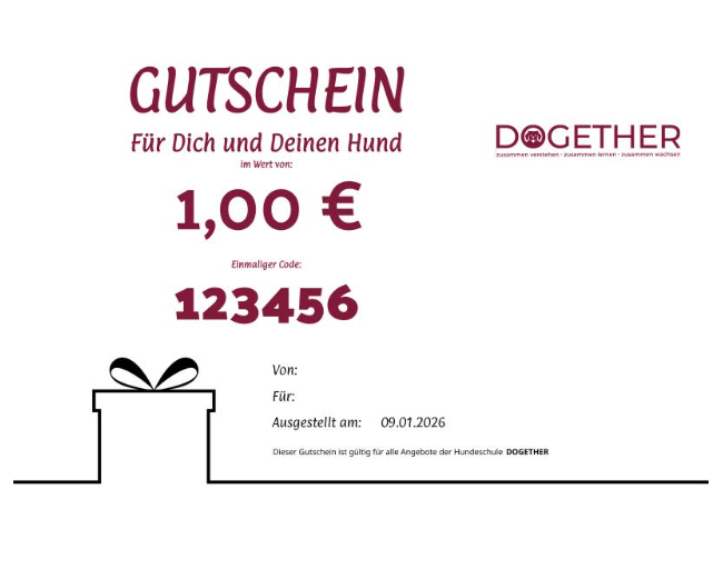 Zusammen Schenken, Gutscheine