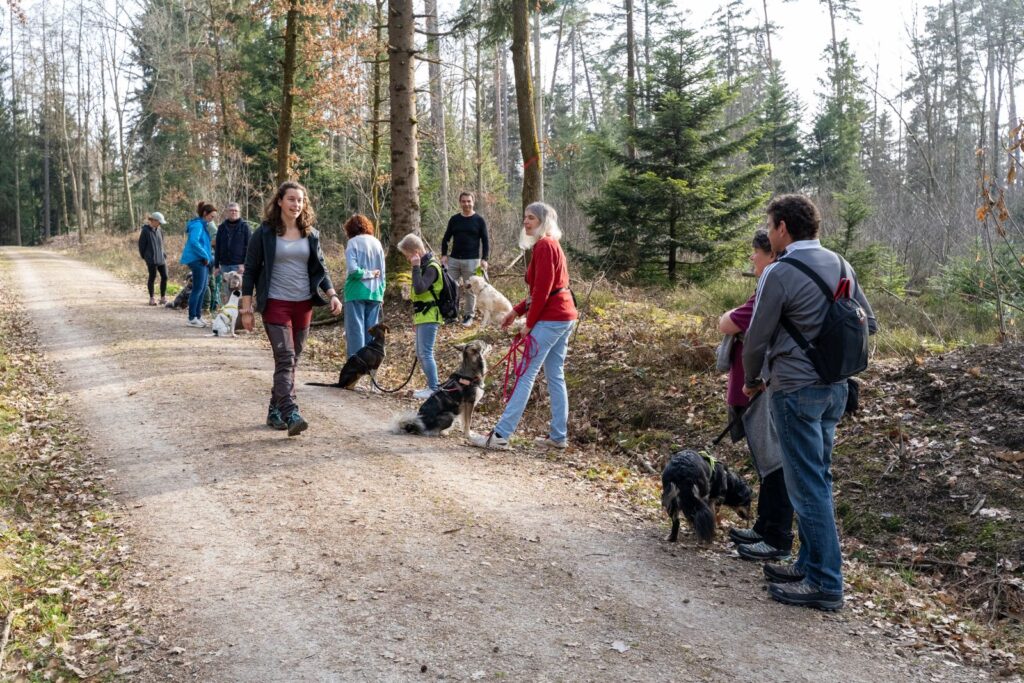 Spendenwalk Fürstenzell